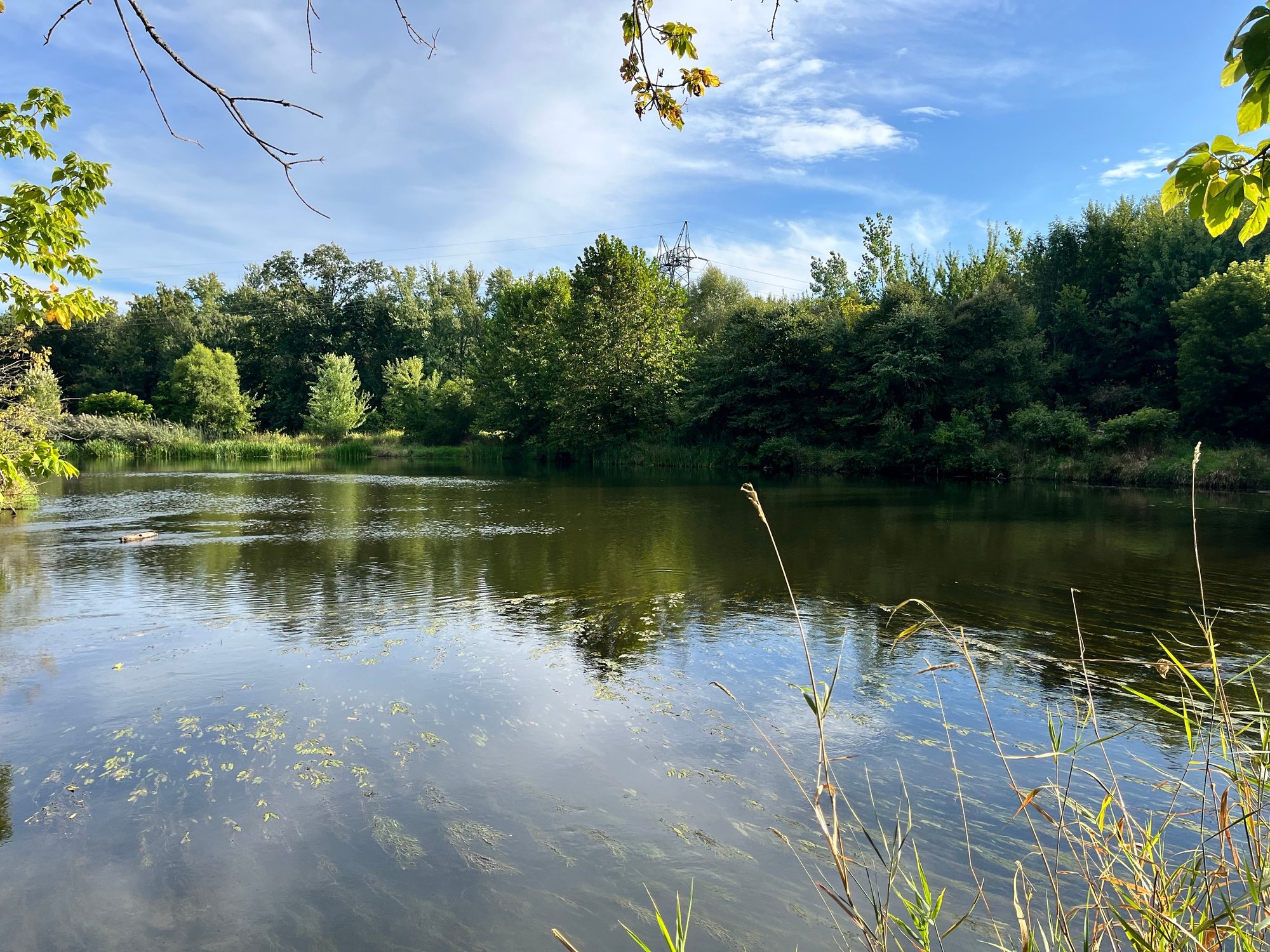 The river in Plainwell, Michigan