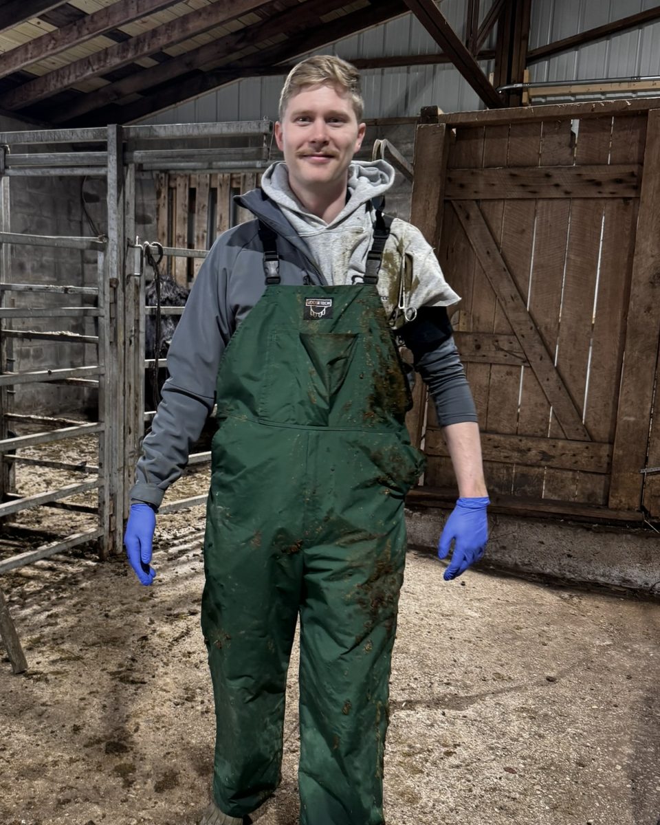 Luke Bousema in muddy overalls, standing in a barn during vet school